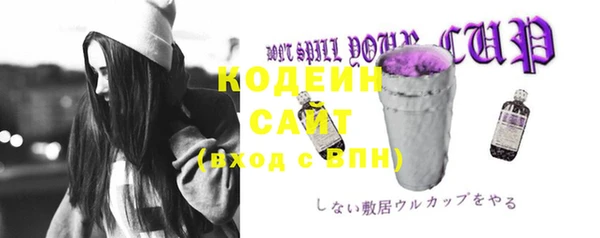 мдпв Семёнов