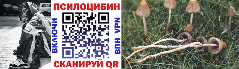 дарнет шоп  hydra рабочий сайт  Галлюциногенные грибы Cubensis  Венёв 